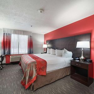 One-Bedroom King Suite