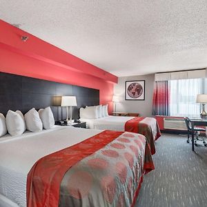One-Bedroom First Floor Queen Suite